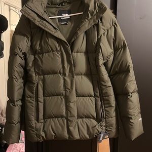 The north face coat
